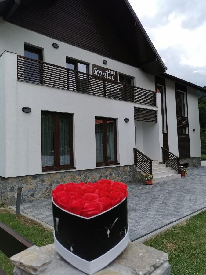 Hotel Mateo Transalpina Săsciori Exterior foto